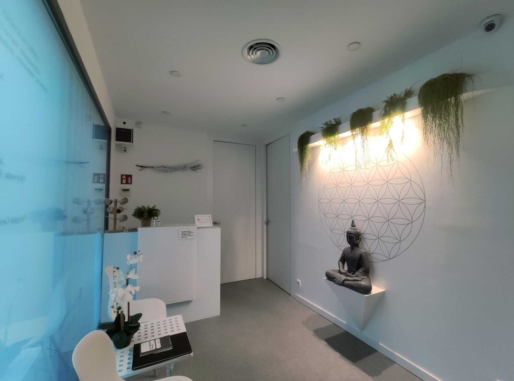 Recepción del centro Manos al Alma en Barcelona