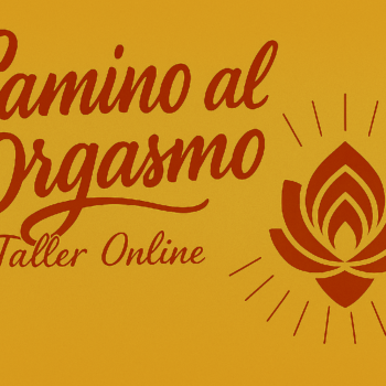 Camino al Org4smo